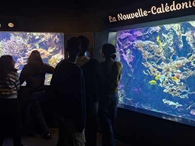 Aquarium - Collège Pierre Termier Lyon